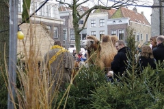 38Kerstmarkt-Dordrecht