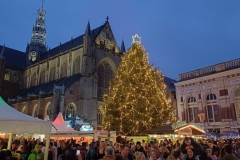 Kerstdagtocht Haarlem 2025