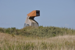 DSC_0806