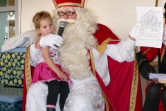 Sinterklaas-2017-110