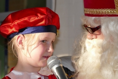Sinterklaas-2017-159