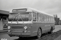 D36.jpg