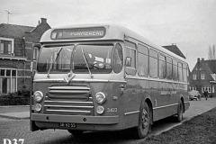 D37.jpg